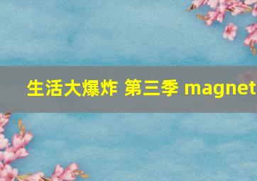 生活大爆炸 第三季 magnet